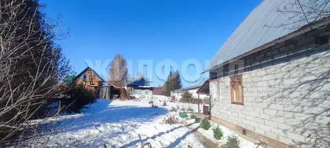 Дом в Новосибирская область, Бердск Слава садовое товарищество, ул. ...