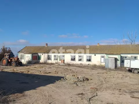 Склад в Краснодарский край, Ейский район, Камышеватская ст-ца  (208 м)