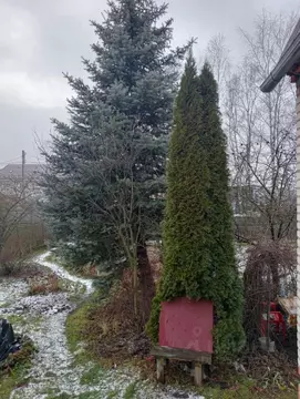 Комната Московская область, Раменский муниципальный округ, д. Сафоново ...