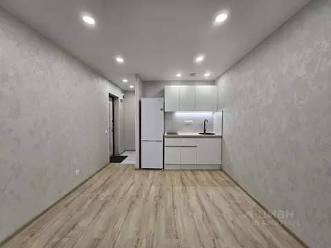 Студия Пермский край, Пермь ул. Героев Хасана, 91 (17.2 м)