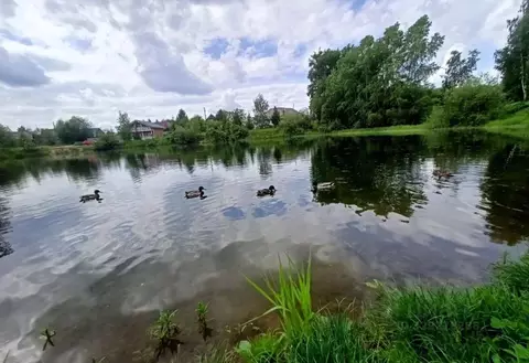 Дом в Пермский край, Добрянский муниципальный округ, д. Залесная ул. ...