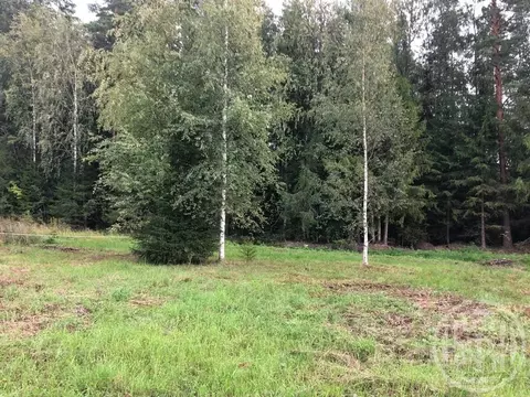 Участок в Ленинградская область, Выборгский район, Гончаровское с/пос, ...