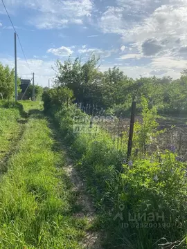 Дом в Брянская область, Брянский район, Снежское с/пос, с. Толмачево, ...