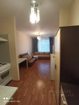 Студия Санкт-Петербург просп. Энгельса, 132к1 (25.0 м)