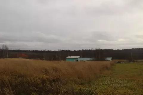 Участок в Московская область, Шаховская муниципальный округ, д. ...