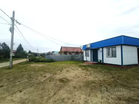 Участок в Владимирская область, Покров городской округ, д. Дубровка ...