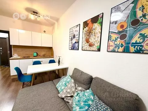 Студия Санкт-Петербург дор. Торфяная, 15к3 (23.0 м)