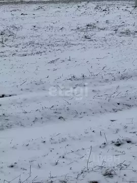 Участок в Белгородская область, Белгородский район, Головинское с/пос, ...