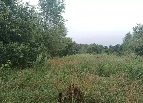 Участок в Московская область, Дмитровский муниципальный округ, д. ...