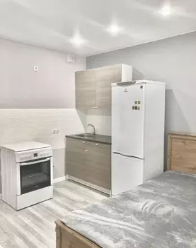 Студия Санкт-Петербург пос. Шушары, Московское ш., 258к2 (29.0 м)