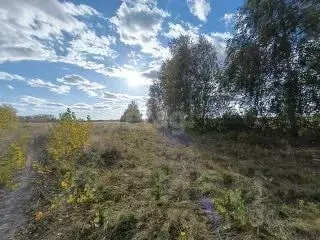 Участок в Курганская область, Курган ул. Зайцева, 51 (6.7 сот.)