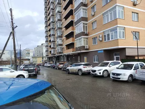 Помещение свободного назначения в Краснодарский край, Новороссийск ул. ...