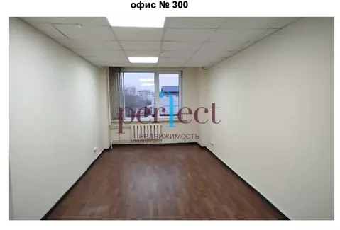 Помещение свободного назначения (17 м)