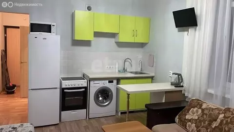 Квартира-студия: Санкт-Петербург, улица Верности, 17 (24.4 м)