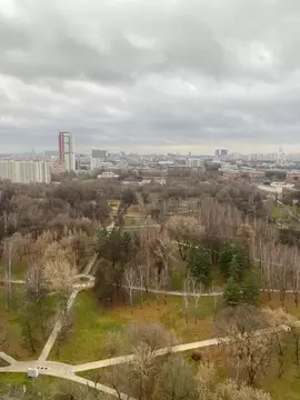 1-к кв. Москва ул. 1-я Леонова, 18 (27.0 м)