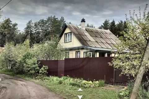 Участок в Ленинградская область, Лужский район, Толмачевское городское ...