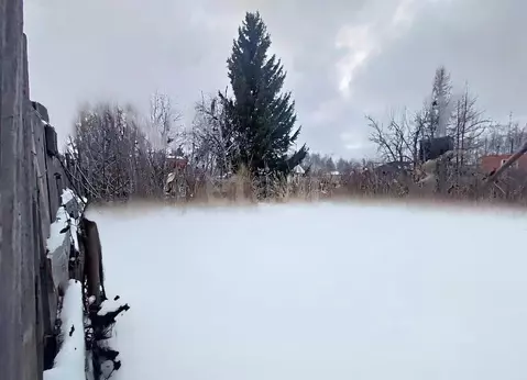 Участок в Тюменская область, Тюмень СОСН Локомотив тер., ул. ...