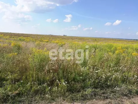Участок в Брянская область, Брянский район, Отрадненское с/пос, с. ...