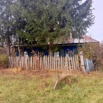 Дом в Мордовия, Лямбирский район, Саловское с/пос, с. Смольково ул. ...