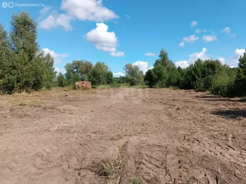 Участок в Тюменская область, Ишимский муниципальный округ, деревня ...