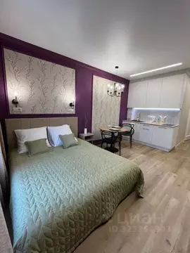 Студия Башкортостан, Уфа ул. Сагита Агиша, 19 (27.0 м)