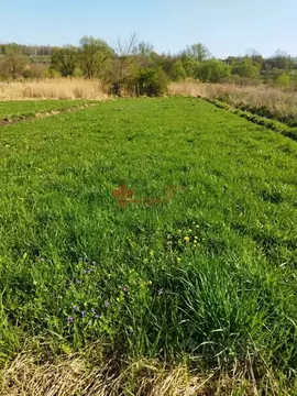 Участок в Белгородская область, Яковлевский муниципальный округ, ...