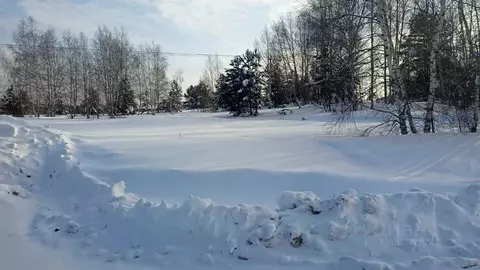 Участок в Московская область, Орехово-Зуевский городской округ, д. ...