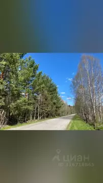 Участок в Удмуртия, Завьяловский район, Мирный починок ул. Липовая ...