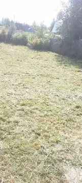 Участок в Новосибирская область, Новосибирский район, Раздольненский ...