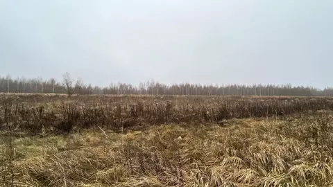 Участок в Московская область, Ступино городской округ, д. Дворяниново ...