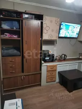 1-к кв. Сахалинская область, Южно-Сахалинск Украинская ул., 111Б (20.0 ...