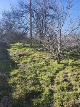 Дом в Ростовская область, Аксайский район, Мишкинская ст-ца ул. Победы ...