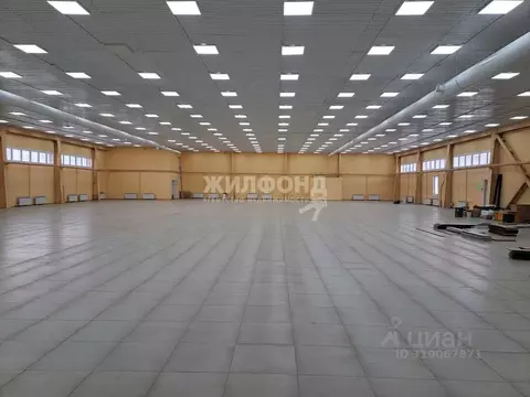 Торговая площадь в Новосибирская область, Бердск Первомайская ул., 12 ...