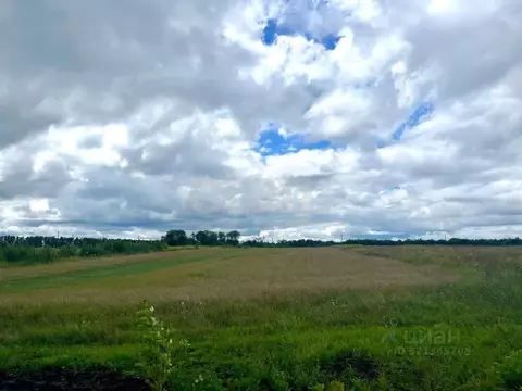 Участок в Брянская область, Выгоничский район, Кокинское с/пос, с. ...