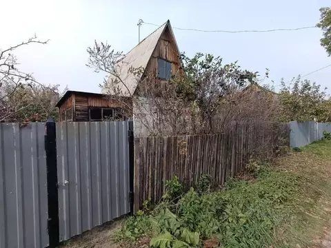 Дом в Курганская область, Курган Земледелец СНТ, ул. Яблоневая, 87 (31 ...