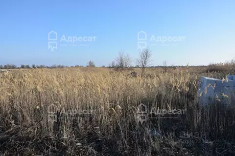 Участок в Волгоградская область, Краснослободск Среднеахтубинский ...