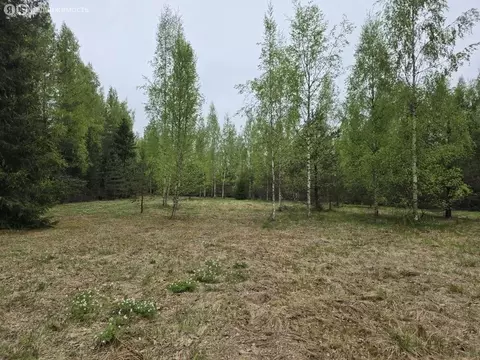 Участок в Выборгский район, Полянское сельское поселение, посёлок ...