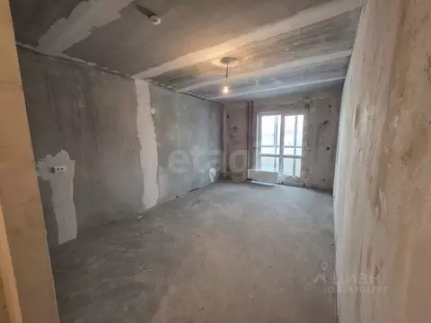 Студия Ленинградская область, Колтуши Всеволожский район, ул. Мира, 9 ...