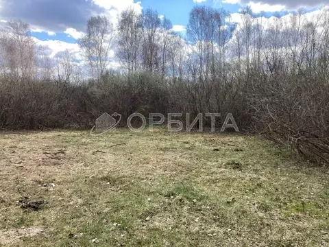 Участок в Тюменская область, Нижнетавдинский район, Геолог-2 СНТ 5-я ...