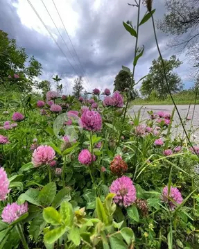 Участок в Пермский край, Пермский муниципальный округ, д. Большое ...