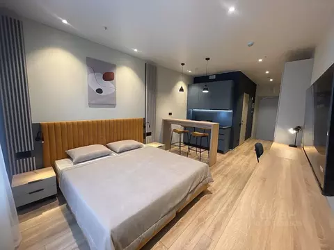 Студия Санкт-Петербург просп. Энергетиков, 8к2 (27.0 м)