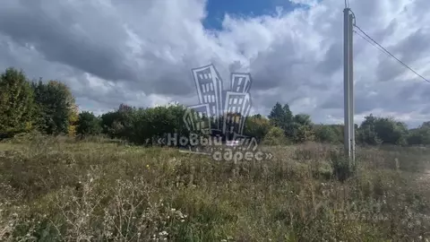 Участок в Воронежская область, Рамонский район, Березовское с/пос, с. ...