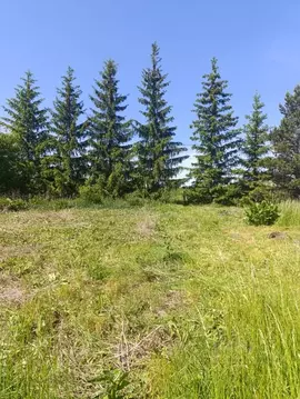 Участок в Башкортостан, Уфа городской округ, д. Ветошниково ул. ...