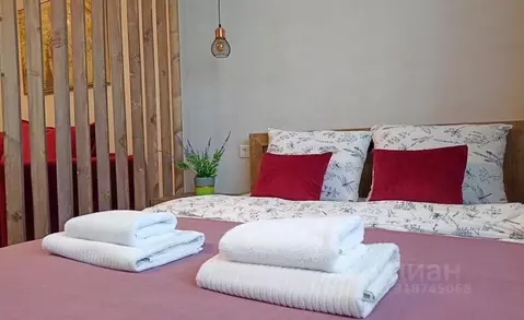 1-к кв. Новосибирская область, Новосибирск ул. Сибиряков-Гвардейцев, ...