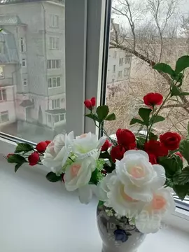 1-к кв. Псковская область, Псков Октябрьский просп., 19Б (40.0 м)