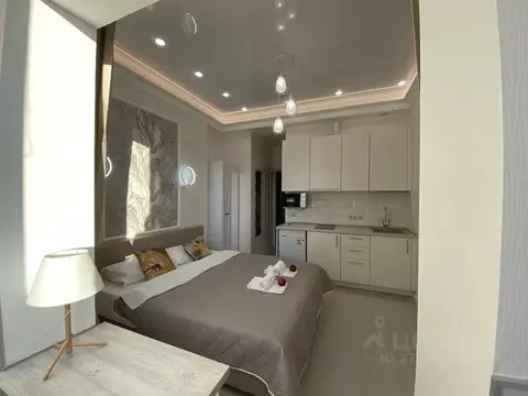 Студия Ленинградская область, Гатчина ул. Чехова, 43к1 (20.0 м)