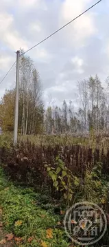 Участок в Ленинградская область, Лужский район, Скребловское с/пос, ...