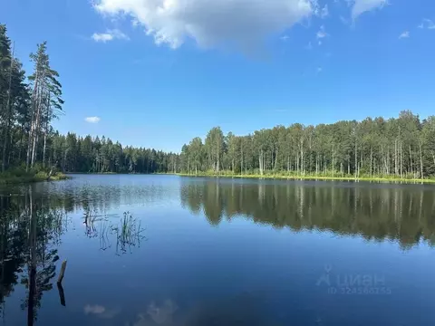 Участок в Ленинградская область, Всеволожский район, Токсовское ...
