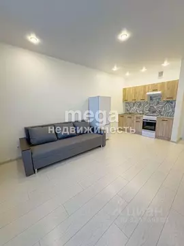 Студия Башкортостан, Уфа ул. Природная, 20 (25.0 м)