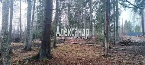 Участок в Ленинградская область, Выборгский район, Селезневское с/пос, ...